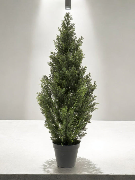 Thuja - Conifera Artificiale