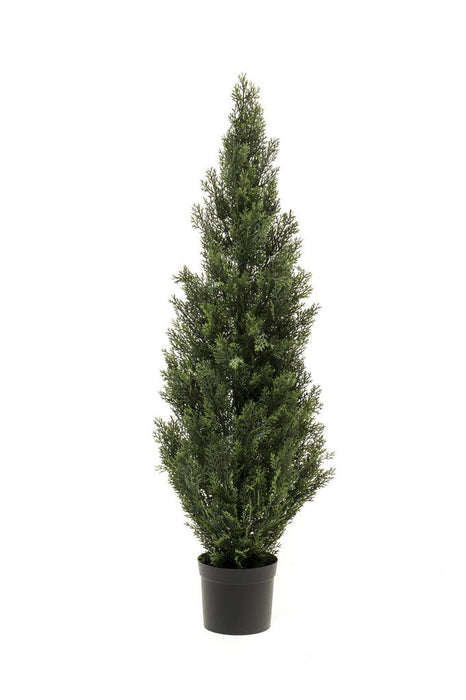 Thuja - Conifera Artificiale