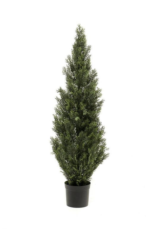 Thuja - Conifera Artificiale
