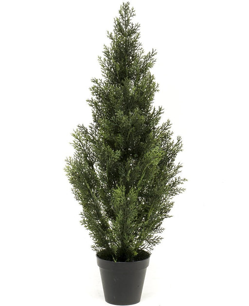 Thuja - Conifera Artificiale