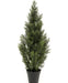 Thuja - Conifera Artificiale