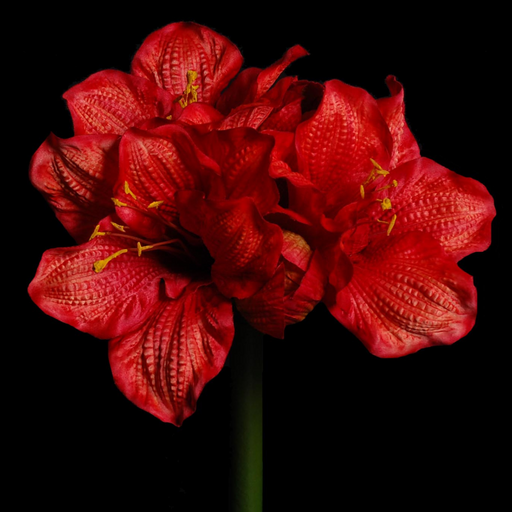 Stelo Amaryllis Artificiale 90Cm Decorazione Rossa