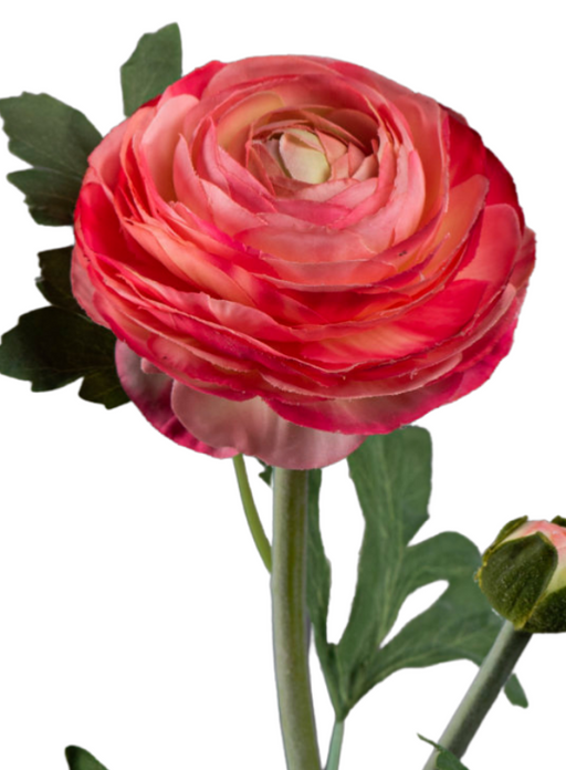 Stelo Di Ranuncolo Artificiale 57 Cm Rosa