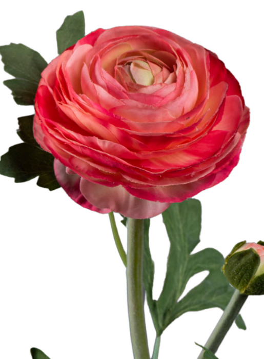 Stelo Di Ranuncolo Artificiale 57 Cm Rosa