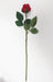Stelo Di Rosa Artificiale In Velluto Rosso 45 Cm