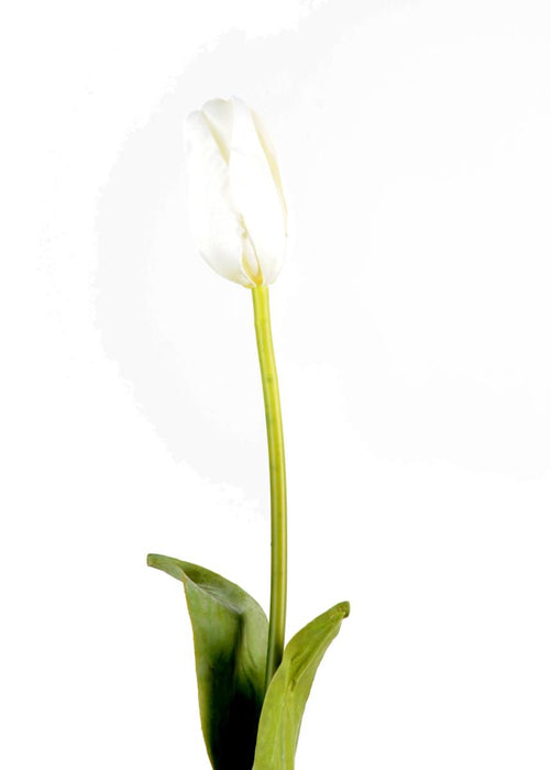 Tulipano Artificiale Bianco H.79Cm Decorazione Interni