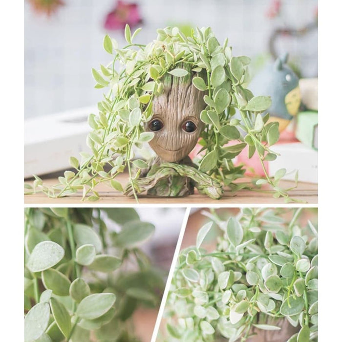 Vaso Groot Affettuoso (X2)