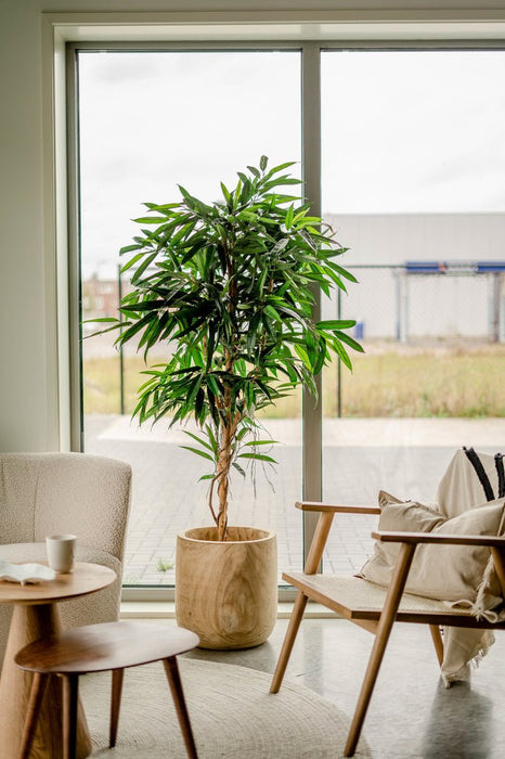 Veronica Longifolia Royale - Albero Artificiale