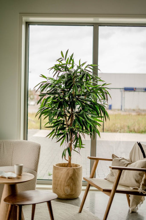 Veronica Longifolia Royale - Albero Artificiale