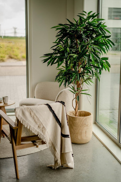 Veronica Longifolia Royale - Albero Artificiale