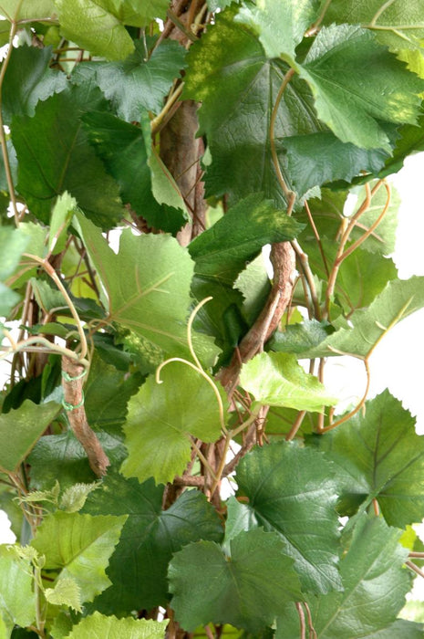 Tralce Artificiale Da Interno 200 Cm Con Vaso Nero