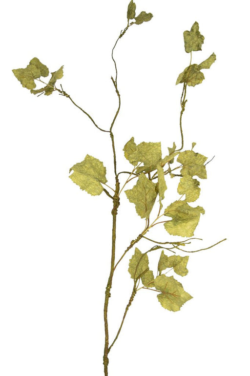 Vite - Fogliame Artificiale
