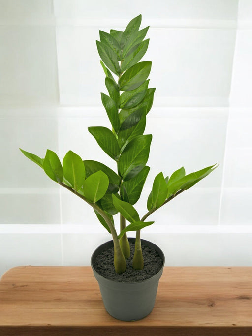 Zamioculcas - Pianta Verde Artificiale