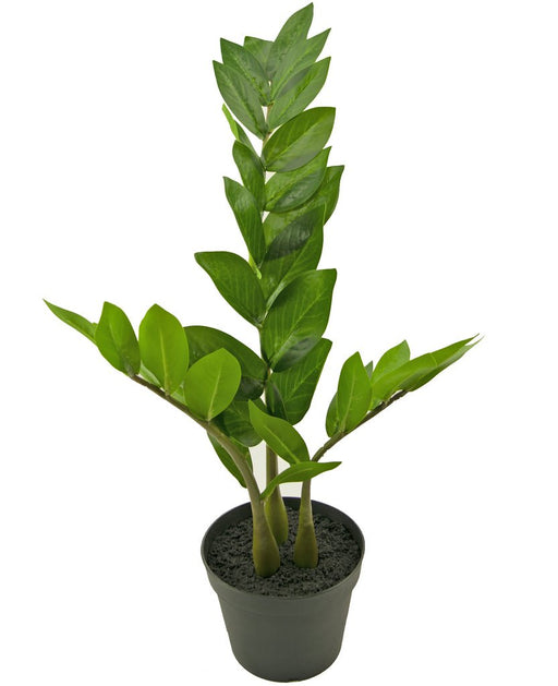 Zamioculcas - Pianta Verde Artificiale