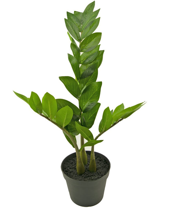 Zamioculcas - Pianta Verde Artificiale