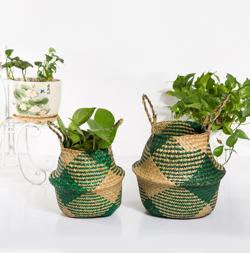 Cesto Di Palla Verde Tailandese